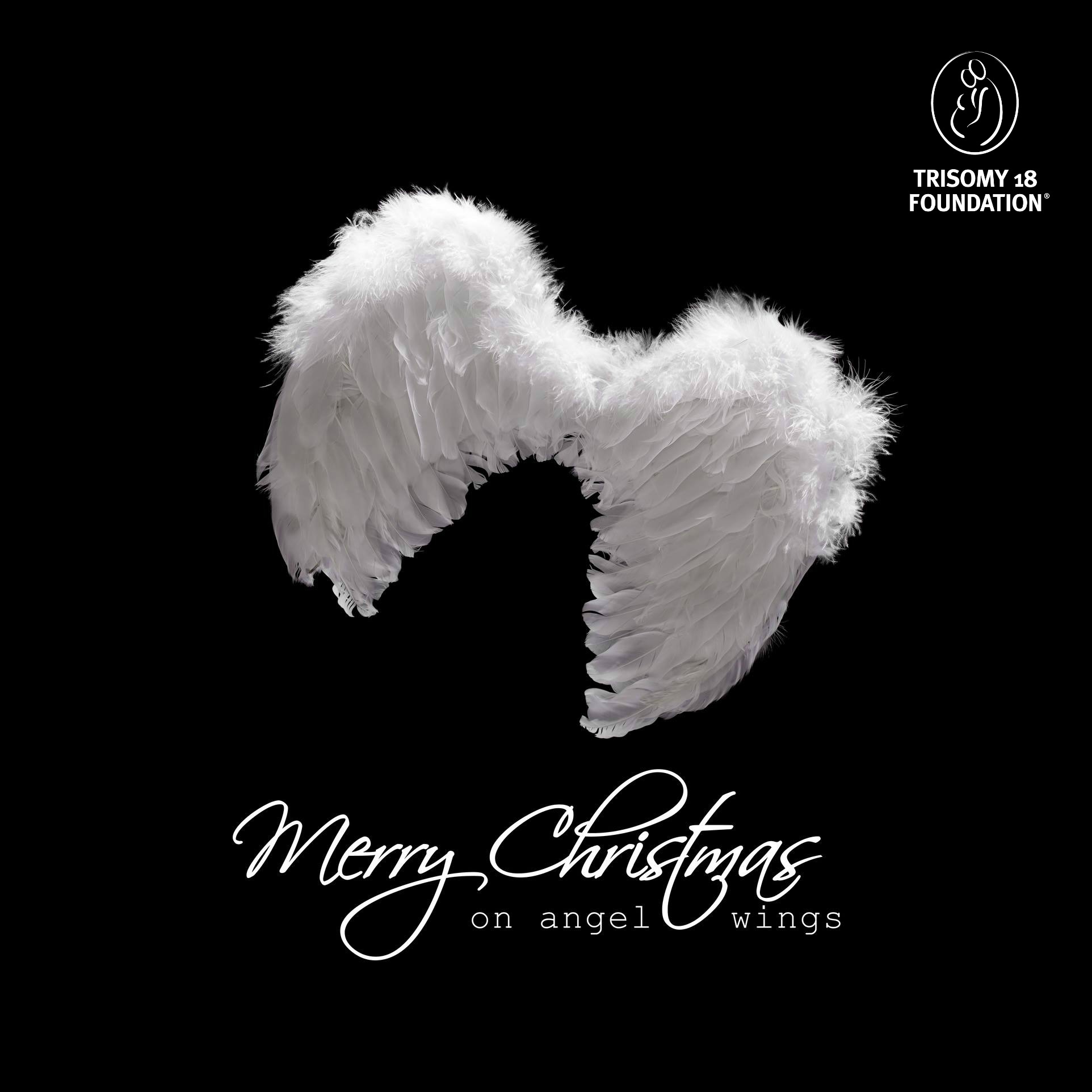 Angel Wings Xmas with logo