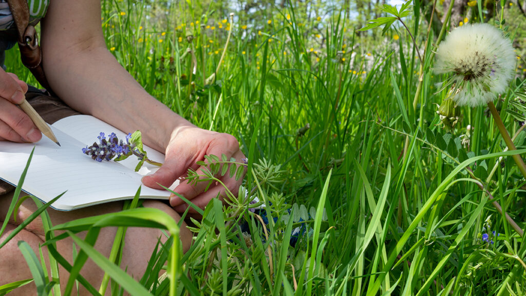 Writing journal in the nature, earth month. Female hand drawing