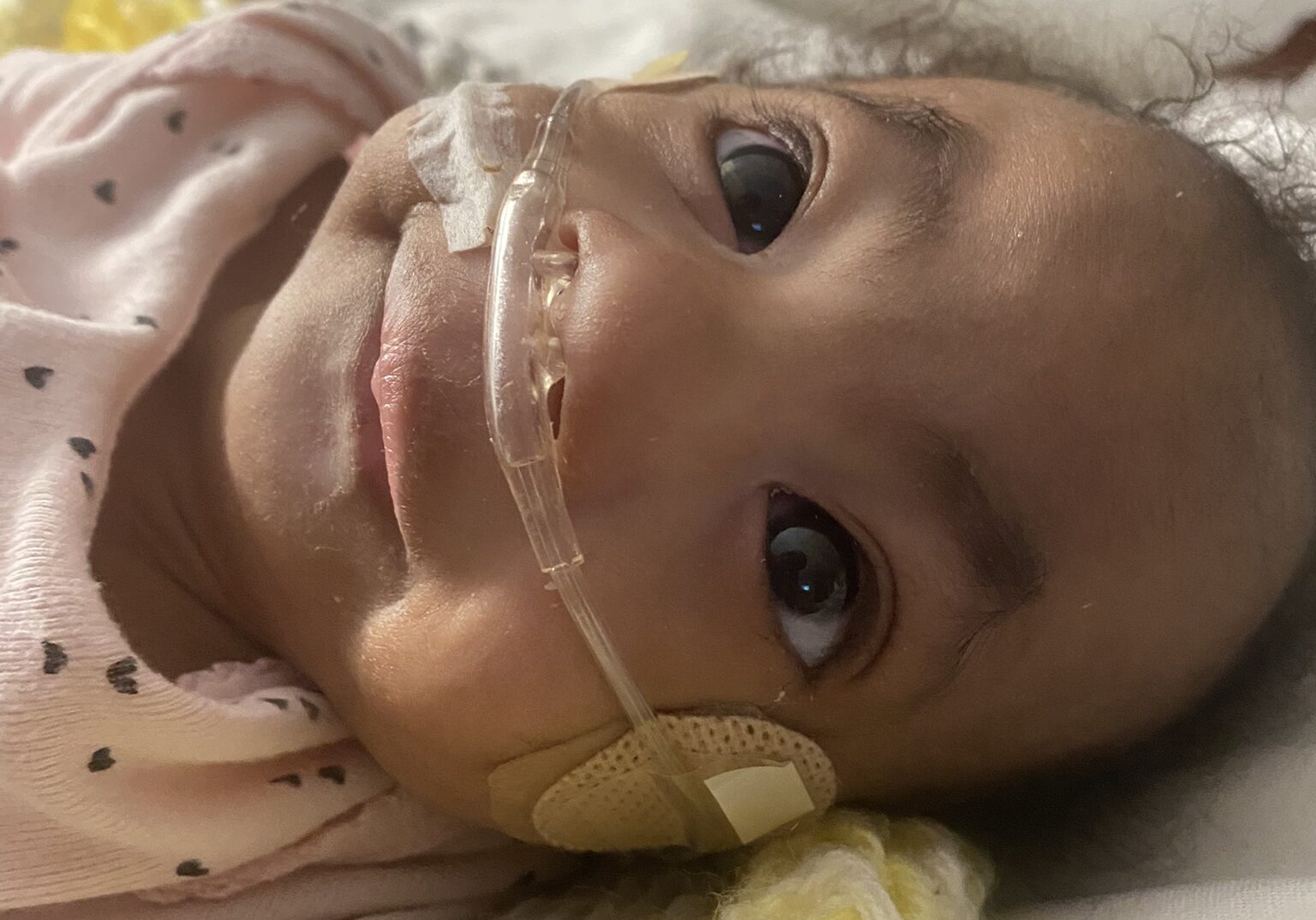 DCD42F60-8B27-4AD6-BE65-D9DD36F73C29